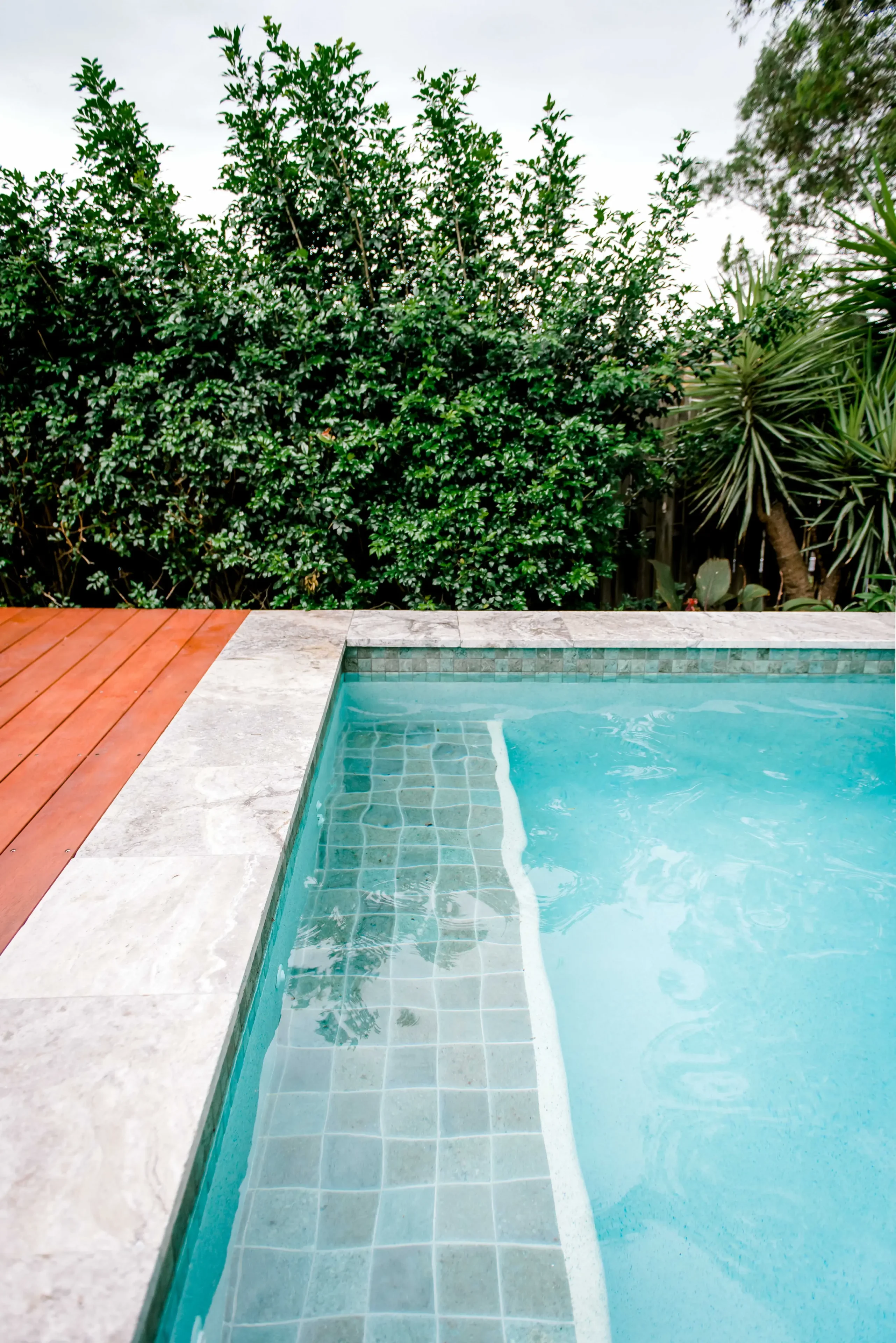 Aqua Living Pools | Elanora Project